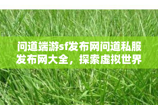 问道端游sf发布网问道私服发布网大全，探索虚拟世界的无限可能，问道端游私服发布网大全，探索虚拟世界的无限可能