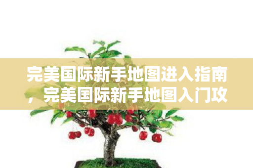 完美国际新手地图进入指南图片