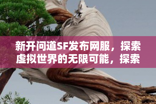 新开问道SF发布网服,探索虚拟世界的无限可能,探索虚拟世界,新开问道SF发布网服等你来体验 新开问道SF发布网服,探索虚拟世界的无限可能,探索虚拟世界,新开问道SF发布网服等你来体验