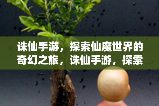 探索仙魔世界的奇幻之旅图片