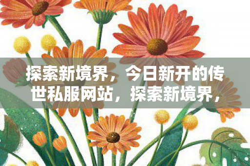 探索新境界，今日新开的传世私服网站，探索新境界，今日新开的传世私服网站