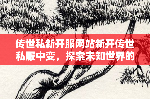 传世私新开服网站新开传世私服中变图片