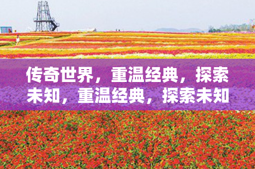 传奇世界，重温经典，探索未知，重温经典，探索未知，传奇世界的奇幻之旅