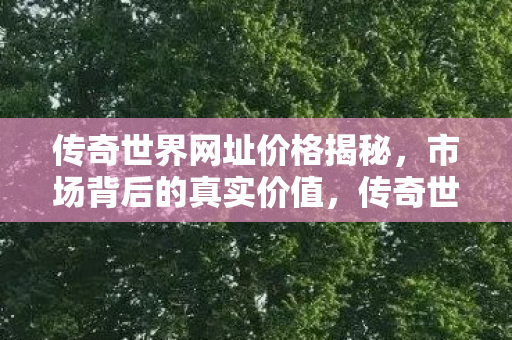 传奇世界网址价格揭秘，市场背后的真实价值，传奇世界网址价格大揭秘，市场背后的真实价值