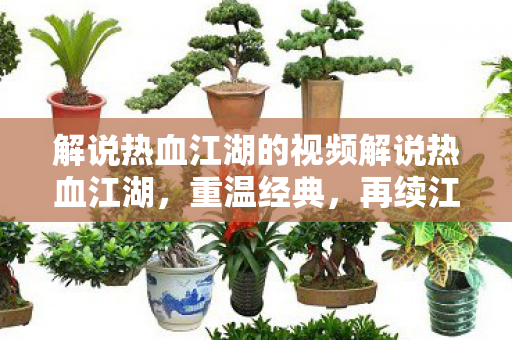解说热血江湖的视频解说热血江湖，重温经典，再续江湖情缘，重温经典江湖，再续热血情缘
