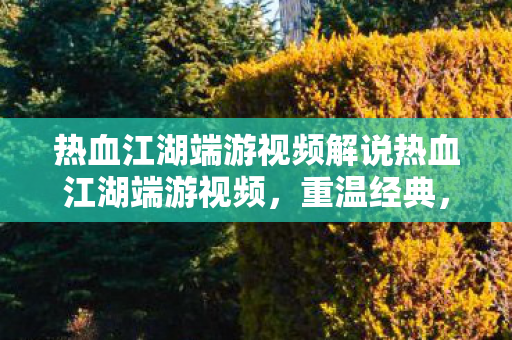 热血江湖端游视频解说热血江湖端游视频,重温经典,感受江湖情仇,重温经典江湖情仇,热血江湖端游视频解说 热血江湖端游视频解说热血江湖端游视频,重温经典,感受江湖情仇,重温经典江湖情仇,热血江湖端游视频解说