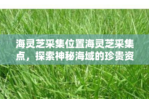 海灵芝采集位置海灵芝采集点,探索神秘海域的珍贵资源,探索神秘海域,海灵芝采集点揭秘 海灵芝采集位置海灵芝采集点,探索神秘海域的珍贵资源,探索神秘海域,海灵芝采集点揭秘