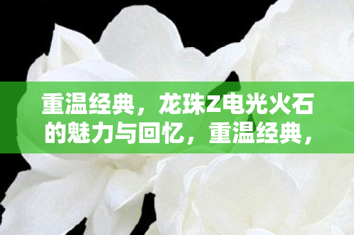 重温经典，龙珠Z电光火石的魅力与回忆，重温经典，龙珠Z电光火石，重温那些年的回忆
