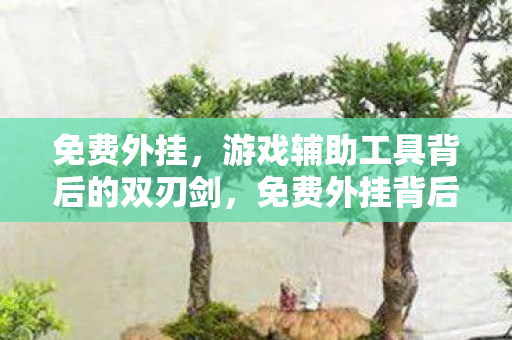 免费外挂，游戏辅助工具背后的双刃剑，免费外挂背后的双刃剑，游戏辅助工具的风险与警示