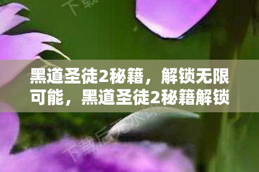 黑道圣徒2秘籍，解锁无限可能，黑道圣徒2秘籍解锁，无限可能等你来探索