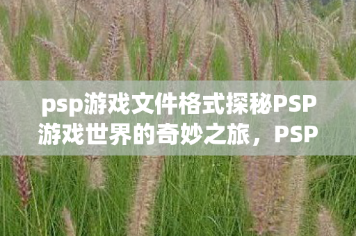 psp游戏文件格式探秘PSP游戏世界的奇妙之旅，PSP游戏世界的奇妙之旅