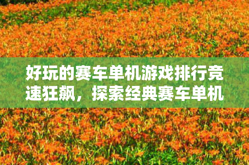 好玩的赛车单机游戏排行竞速狂飙，探索经典赛车单机游戏的魅力，竞速狂飙，经典赛车单机游戏排行