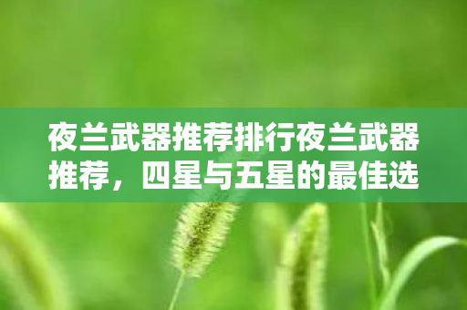 夜兰武器推荐排行夜兰武器推荐，四星与五星的最佳选择，夜兰武器推荐排行，四星与五星的最佳选择