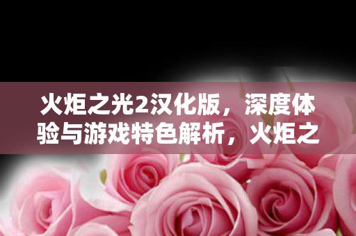 火炬之光2汉化版，深度体验与游戏特色解析，火炬之光2汉化版，深度体验与游戏特色解析