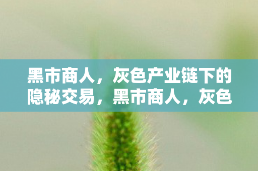 黑市商人，灰色产业链下的隐秘交易，黑市商人，灰色产业链下的隐秘交易揭秘