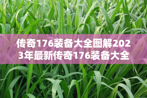 传奇176装备大全图解2023年最新传奇176装备大全，2023年最新传奇176装备大全图解
