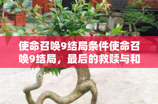 使命召唤9结局条件使命召唤9结局,最后的救赎与和平的曙光,使命召唤9,最后的救赎与和平曙光 使命召唤9结局条件使命召唤9结局,最后的救赎与和平的曙光,使命召唤9,最后的救赎与和平曙光