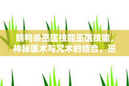 鹅鸭杀巫医技能巫医技能，神秘医术与咒术的结合，巫医技能，神秘医术与咒术的结合