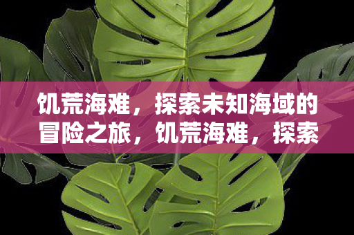 饥荒海难,探索未知海域的冒险之旅,饥荒海难,探索未知海域的冒险之旅 饥荒海难,探索未知海域的冒险之旅,饥荒海难,探索未知海域的冒险之旅