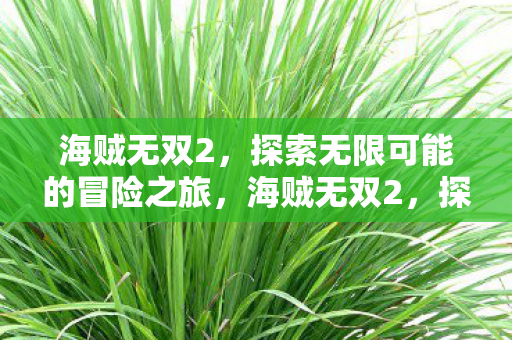 海贼无双2，探索无限可能的冒险之旅，海贼无双2，探索无限可能的冒险之旅