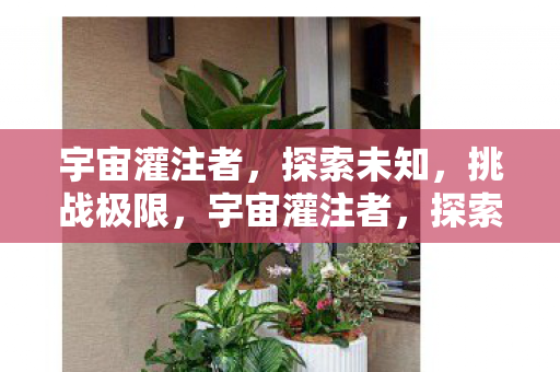 宇宙灌注者，探索未知，挑战极限，宇宙灌注者，探索未知，挑战极限
