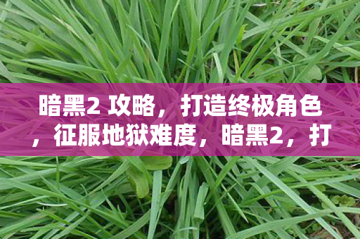 暗黑2 攻略，打造终极角色，征服地狱难度，暗黑2，打造终极角色，征服地狱难度全攻略