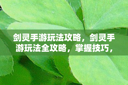 剑灵手游玩法全攻略图片
