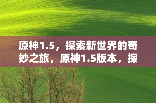 原神1.5，探索新世界的奇妙之旅，原神1.5版本，探索新世界的奇妙冒险