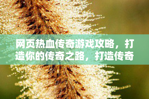 网页热血传奇游戏攻略图片