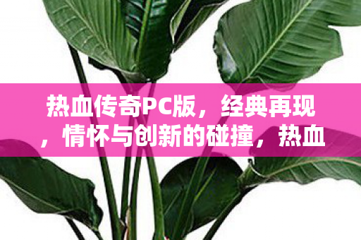 情怀与创新碰撞的传奇之旅图片