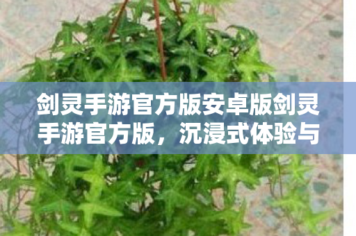 剑灵手游官方版安卓版剑灵手游官方版图片
