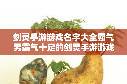 剑灵手游游戏名字大全霸气男霸气十足的剑灵手游游戏名字大全图片