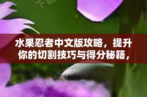 水果忍者中文版攻略，提升你的切割技巧与得分秘籍，水果忍者中文版，提升切割技巧与得分秘籍