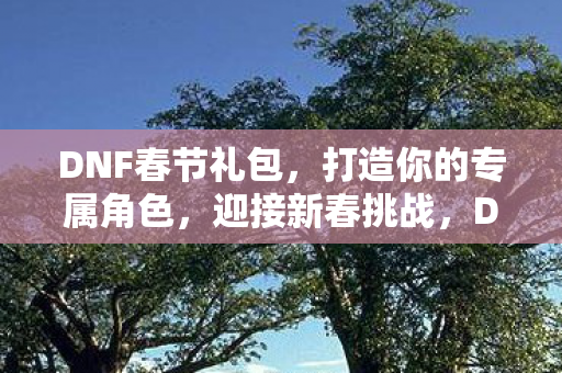 DNF春节礼包,打造你的专属角色,迎接新春挑战,DNF春节礼包,打造专属角色,迎接新春挑战 DNF春节礼包,打造你的专属角色,迎接新春挑战,DNF春节礼包,打造专属角色,迎接新春挑战