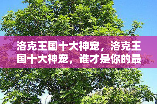 洛克王国十大神宠,洛克王国十大神宠,谁才是你的最爱? 洛克王国十大神宠,洛克王国十大神宠,谁才是你的最爱?