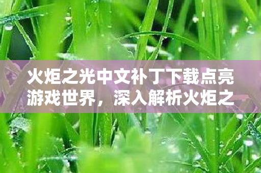 火炬之光中文补丁下载点亮游戏世界,深入解析火炬之光中文补丁,深入解析,火炬之光中文补丁下载,点亮你的游戏世界 火炬之光中文补丁下载点亮游戏世界,深入解析火炬之光中文补丁,深入解析,火炬之光中文补丁下载,点亮你的游戏世界