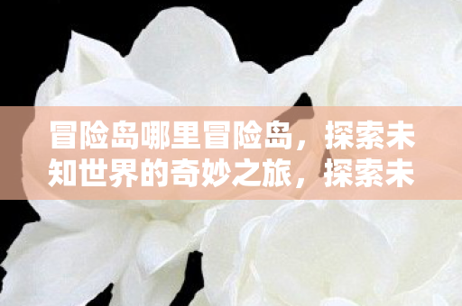 冒险岛哪里冒险岛，探索未知世界的奇妙之旅，探索未知世界的奇妙之旅，冒险岛冒险记