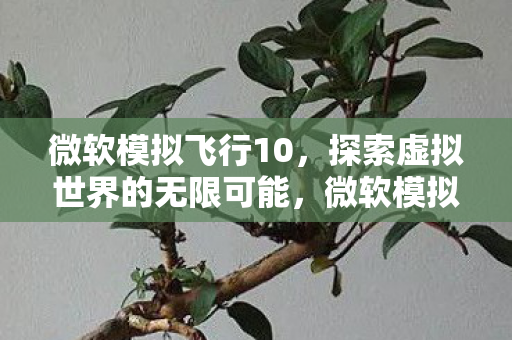 微软模拟飞行10,探索虚拟世界的无限可能,微软模拟飞行10,探索虚拟世界的无限可能 微软模拟飞行10,探索虚拟世界的无限可能,微软模拟飞行10,探索虚拟世界的无限可能