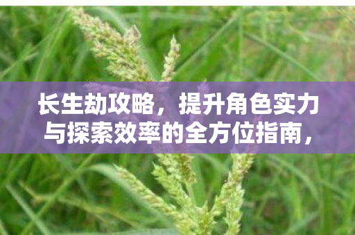 长生劫攻略,提升角色实力与探索效率的全方位指南,长生劫全方位攻略,提升角色实力与探索效率 长生劫攻略,提升角色实力与探索效率的全方位指南,长生劫全方位攻略,提升角色实力与探索效率