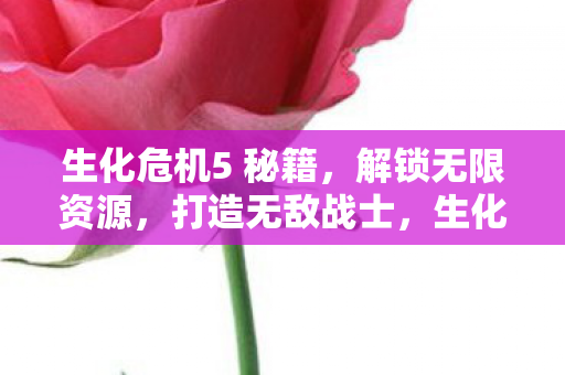 生化危机5 秘籍，解锁无限资源，打造无敌战士，生化危机5秘籍，解锁无限资源，打造无敌战士