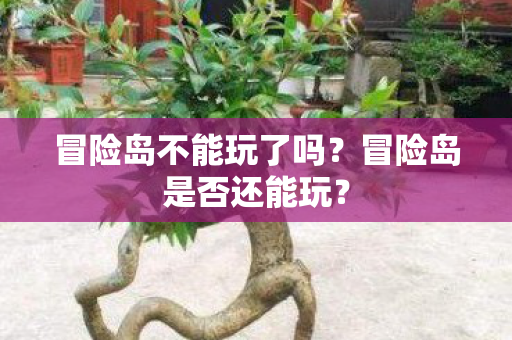 冒险岛不能玩了吗?冒险岛是否还能玩? 冒险岛不能玩了吗?冒险岛是否还能玩?