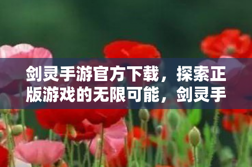 探索正版游戏的无限可能图片