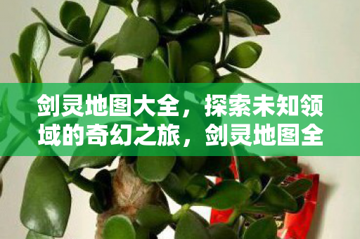 剑灵地图大全，探索未知领域的奇幻之旅，剑灵地图全览，奇幻之旅，探索未知领域