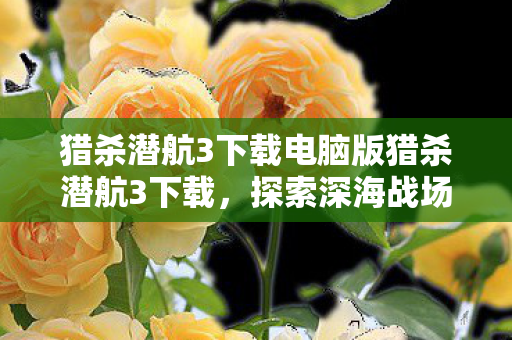 猎杀潜航3下载电脑版猎杀潜航3下载，探索深海战场的绝佳选择，猎杀潜航3，深海战场探索的绝佳选择，电脑版下载开启！