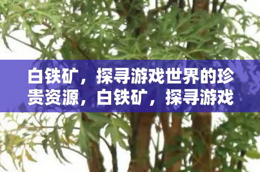 白铁矿，探寻游戏世界的珍贵资源，白铁矿，探寻游戏世界的珍贵资源