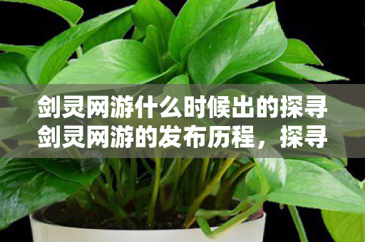 剑灵网游什么时候出的探寻剑灵网游的发布历程，探寻剑灵网游的发布历程