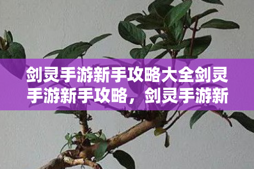 剑灵手游新手攻略大全剑灵手游新手攻略图片