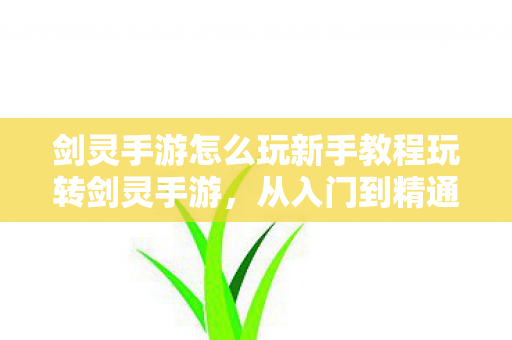 剑灵手游怎么玩新手教程玩转剑灵手游，从入门到精通的全面指南，新手必看！玩转剑灵手游从入门到精通的全面指南