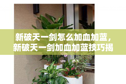 新破天一剑加血加蓝技巧揭秘图片