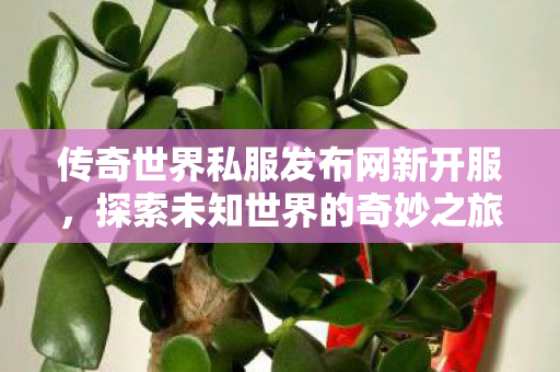 传奇世界私服发布网新开服图片